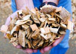 Biomass tax credits stabilized wood prices, fueled economic benefits