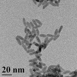 Cadmium selenide quantum dots degrade in soil, releasing their toxic guts, study finds