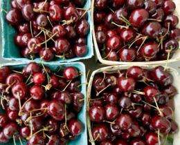 Cherries sit on a farmers market table