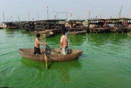 Chinese workers clean up the green algae floating in Caohu lake in Hefei