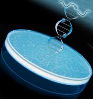 Click chemistry creates new 'stealth' DNA links