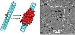 Controlling Chemistry Improves Potential of Carbon Nanotubes