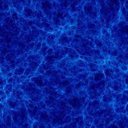 Cosmological evolution of dark matter is similar to that of visible matter