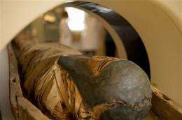 CT scans of Egyptian mummy help Vt. solve crimes (AP)