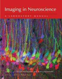 Cutting-edge imaging techniques for neuroscientists available in latest laboratory manual 