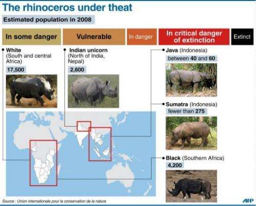 Degree of threat of extinction faced by five existing species of rhino