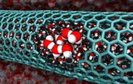 Disorder is key to nanotube mystery