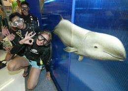 Divers with an Irrawaddy dolphin at a conference in Bangkok