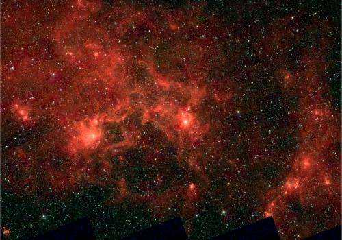 In the Dragon&#64257;sh's mouth: Next generation of superstars to stir up our galaxy