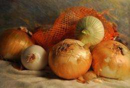 Dry onion skin has a use