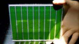 Dye-sensitized solar cells break a new record