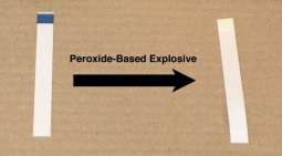 New nanomaterial can detect and neutralize explosives