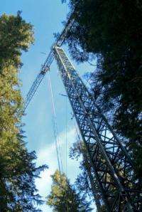 Era of canopy crane ending; certain research and education activities remain