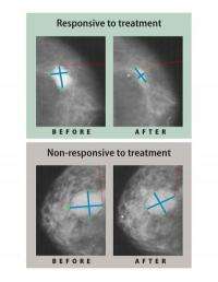 Estrogen-lowering drugs reduce mastectomy rates for breast cancer patients