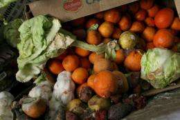 European and North American consumers wasted between 95 and 115 kilograms of food every year, according to the FAO