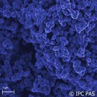 Fighting Parkinson's with carbon nanoparticles