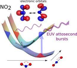 Watching electrons in molecules