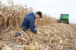 Forage know-how gives Wisconsin farmers an edge in growing biomass