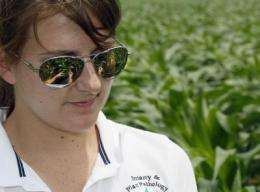 Fungicides may not increase corn yields unless disease develops