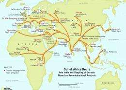 The genographic project confirms humans migrated out of Africa through Arabia