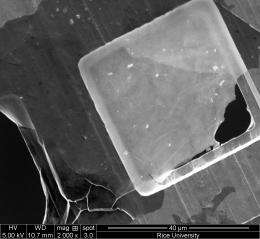 Giant flakes make graphene oxide gel