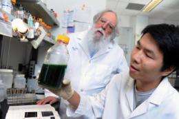Green and lean: Secreting bacteria eliminate cost barriers for renewable biofuel production
