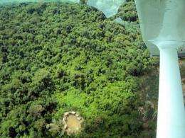 Handout aerial picture released by the Hutukara Yanomami Association showing huts of an uncontacted Yanomami  tribe