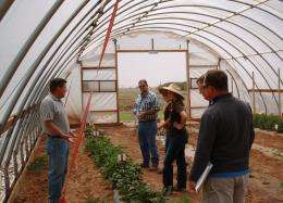 High tunnels, mulch may be the answer to wild High Plains weather