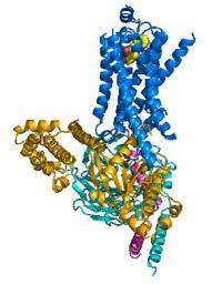 How receptors talk to G proteins