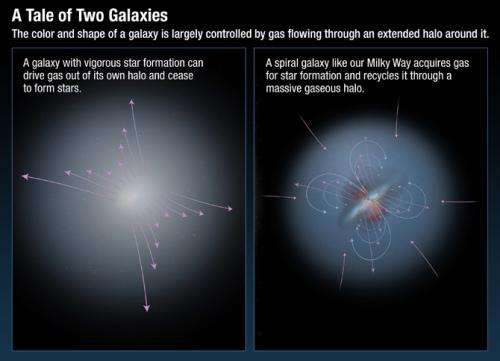 Hubble confirms that galaxies are the ultimate recyclers