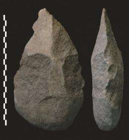 Humans shaped stone axes 1.8 million years ago, study says