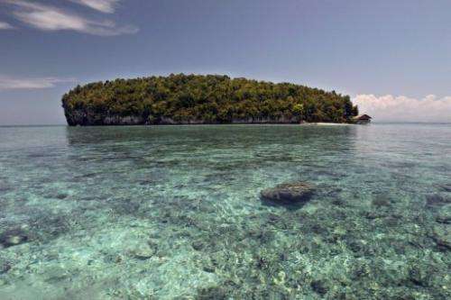 In 2010, Indonesia's Raja Ampat archipelago received a total of just 4,515 visitors