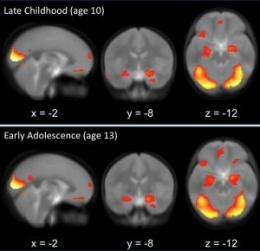 In adolescence, the power to resist blooms in the brain