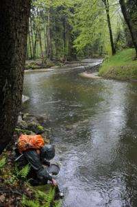 Kamenice river slowly bounces back from four decades of communist-era pollution