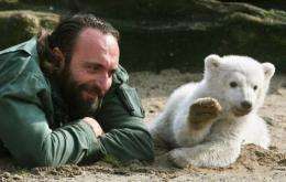 Knut, a three-month-old polar bear cub, appears to wave as he plays with his minder Thomas Doerflein in 2007