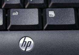 Lackluster results show challenge for HP's Whitman (AP)