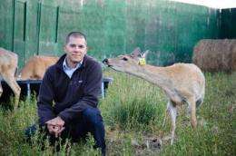 Battling chronic wasting disease in elk and deer