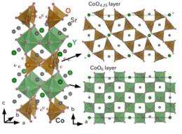 Long-time mystery in Cobalt oxides