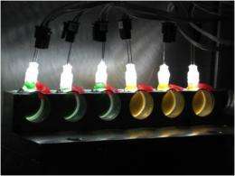 'Low tech' light in neutron beam illuminates photosynthesis in bacteria