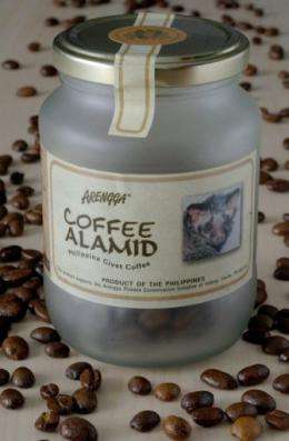 Luxury wild civet cat-excreted coffee beans are exported to many countries including the US, Japan and Australia