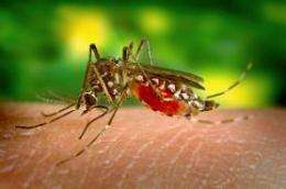 Making blood-sucking deadly for mosquitoes