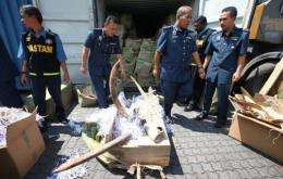 Malaysian custom officers handle elephant tusks seized in the port of Klang on December 13