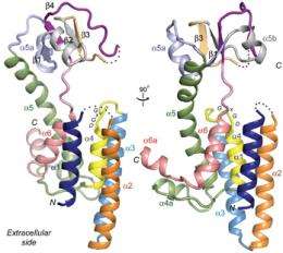 Model of Enigmatic Alzheimer's Protein Described for First Time