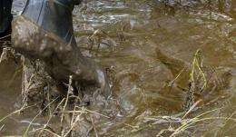 Montana questions Exxon's estimate of oil spilled (AP)