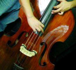Musical activity may improve cognitive aging