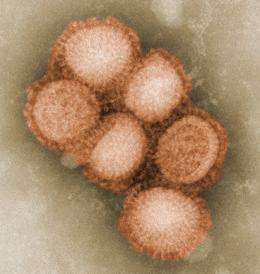 Mutation identified that might allow H1N1 to spread more easily