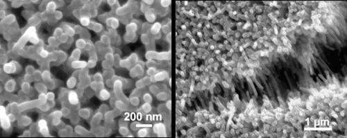 Nano bundles pack a powerful punch