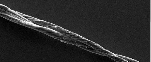 Nanocables light way to the future: Researchers power line-voltage light bulb with nanotube wire
