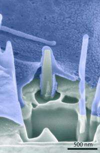 Nanopillars yield more precise molecular photography