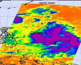 NASA identifies the areas of Tropical Storm Muifa's strength 